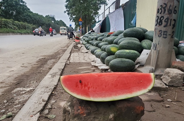 Mưa lạnh kéo dài, hàng loạt điểm bán dưa hấu treo biển mua hộ đồng giá 20.000 đồng/quả - Ảnh 1.