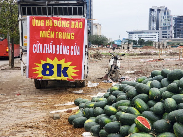 Mưa lạnh kéo dài, hàng loạt điểm bán dưa hấu treo biển mua hộ đồng giá 20.000 đồng/quả - Ảnh 6.