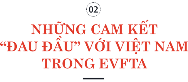 Trưởng phái đoàn EU tại Việt Nam: EVFTA là bệ phóng đưa Việt Nam tham gia sâu vào chuỗi cung ứng toàn cầu, có thể tăng lượng xuất khẩu vào EU thêm 15 tỷ EUR - Ảnh 4.