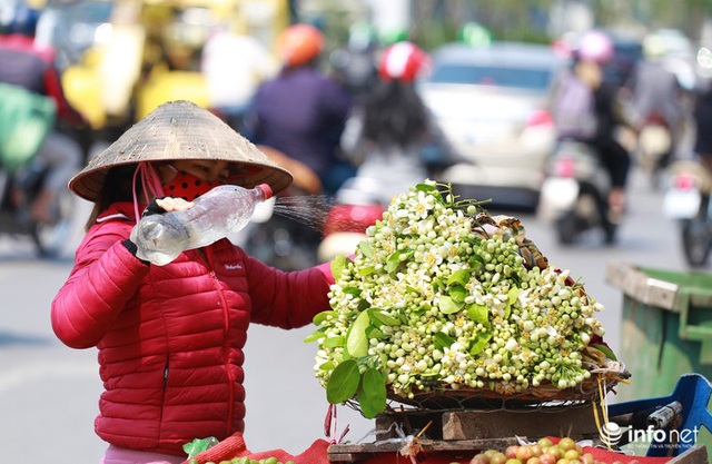 Hoa bưởi đầu mùa xuống phố, thơm nồng nàn khắp phố phường Hà Nội - Ảnh 1.