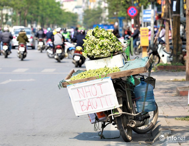 Hoa bưởi đầu mùa xuống phố, thơm nồng nàn khắp phố phường Hà Nội - Ảnh 3.