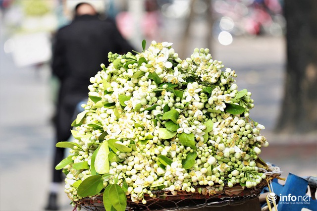 Hoa bưởi đầu mùa xuống phố, thơm nồng nàn khắp phố phường Hà Nội - Ảnh 4.