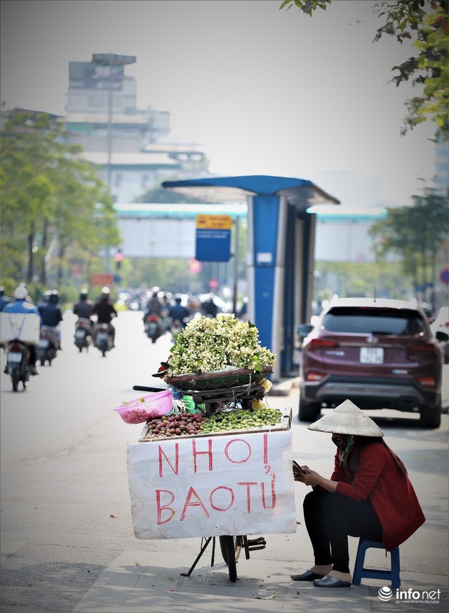 Hoa bưởi đầu mùa xuống phố, thơm nồng nàn khắp phố phường Hà Nội - Ảnh 5.