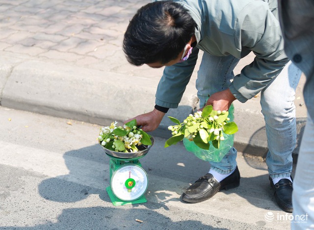 Hoa bưởi đầu mùa xuống phố, thơm nồng nàn khắp phố phường Hà Nội - Ảnh 7.