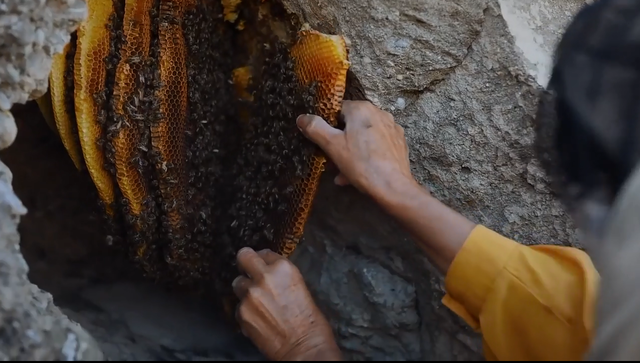 Bài học cuộc sống từ người nuôi ong hoang dã cuối cùng của châu Âu: Để giao tiếp, điều khiển đang ong, bạn không cần có sức mạnh nhưng rất cần sự khôn ngoan - Ảnh 5.