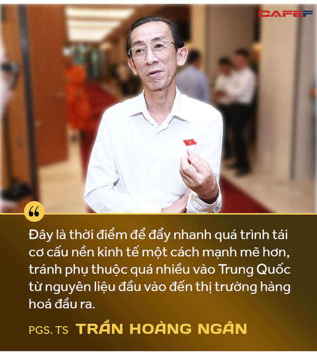PGS.TS. Trần Hoàng Ngân: Dịch Covid-19 là cơ hội để Việt Nam đẩy mạnh tái cơ cấu toàn bộ nền kinh tế và củng cố niềm tin cho nhà đầu tư - Ảnh 4.