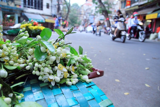 Kiếm bạc triệu nhờ bán hoa theo lạng trên phố Hà Nội - Ảnh 10.