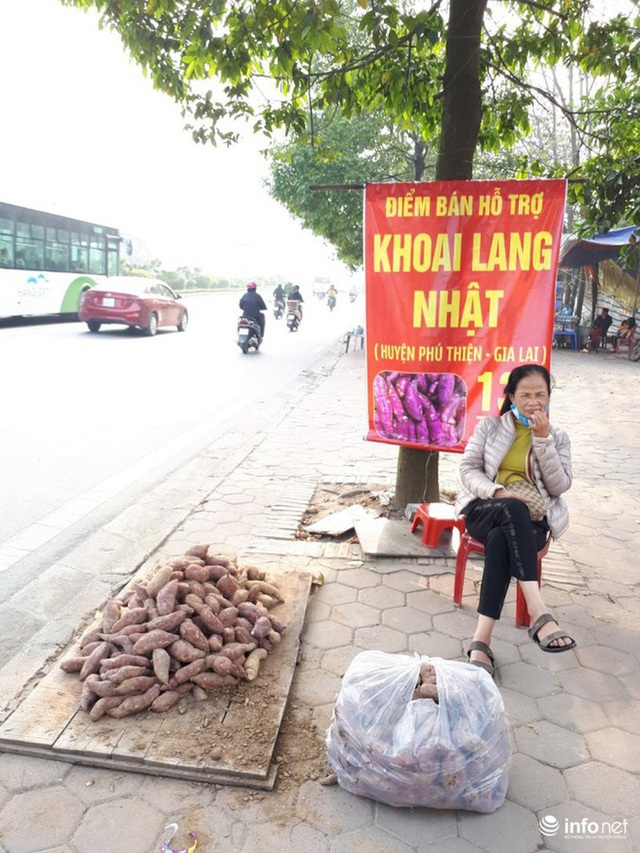 Khoai lang Nhật giải cứu đầy vỉa hè Hà Nội, thương nhân bán giá 13.000 đồng/kg - Ảnh 4.