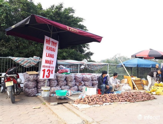 Khoai lang Nhật giải cứu đầy vỉa hè Hà Nội, thương nhân bán giá 13.000 đồng/kg - Ảnh 6.