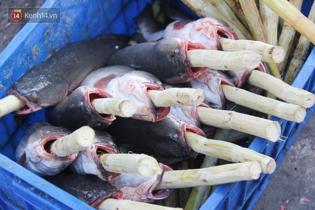 2.000 con cá lóc nướng bán sạch trong một buổi sáng, nhiều gia đình ở Sài Gòn kiếm tiền khủng trong ngày vía Thần tài - Ảnh 8.