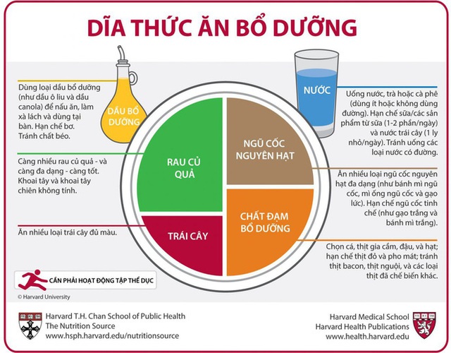  BS Phạm Nguyên Quý: Không phải thực phẩm chức năng, đây mới cách tăng miễn dịch để chống lại virus corona - Ảnh 2.