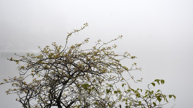 Sương mù dày đặc bao trùm Thủ đô Hà Nội - Ảnh 11.