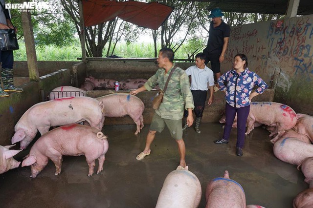 Giá thịt lợn bắt đầu giảm nhiệt - Ảnh 2.