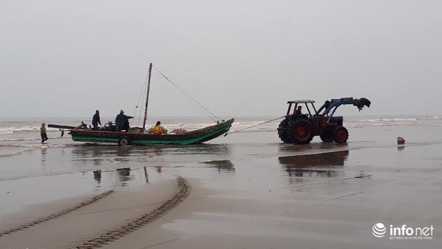 Được mùa cá trích, ngư dân xứ Thanh thu chục triệu mỗi ngày - Ảnh 2.