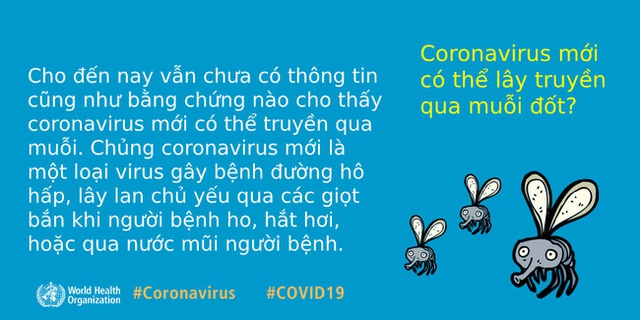 WHO giải đáp 9 tin đồn hoang đường về dịch COVID-19: Tất cả chúng ta đều cần nắm rõ để phòng dịch cho đúng - Ảnh 4.