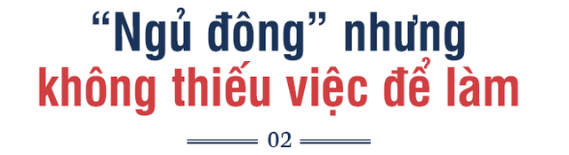 CEO TransViet: Chúng tôi kích hoạt trạng thái “ngủ đông”, phát triển sản phẩm mới, chờ cơ hội sau dịch - Ảnh 5.