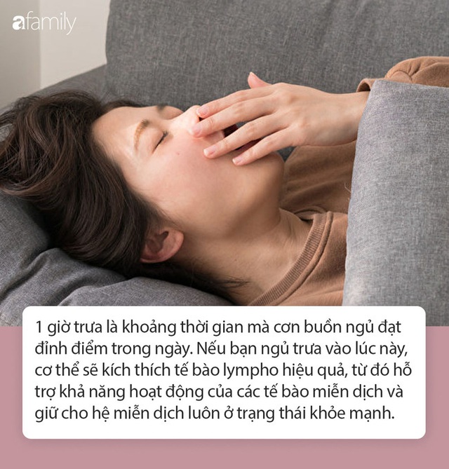 Đừng coi thường việc ngủ trưa bởi nó mang lại đến 5 lợi ích không tưởng này, điều nào cũng tốt cho sức khỏe - Ảnh 3.