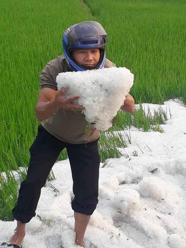 Mưa đá phủ trắng ruộng vườn ở Điện Biên, Sơn La, Hòa Bình - Ảnh 2.