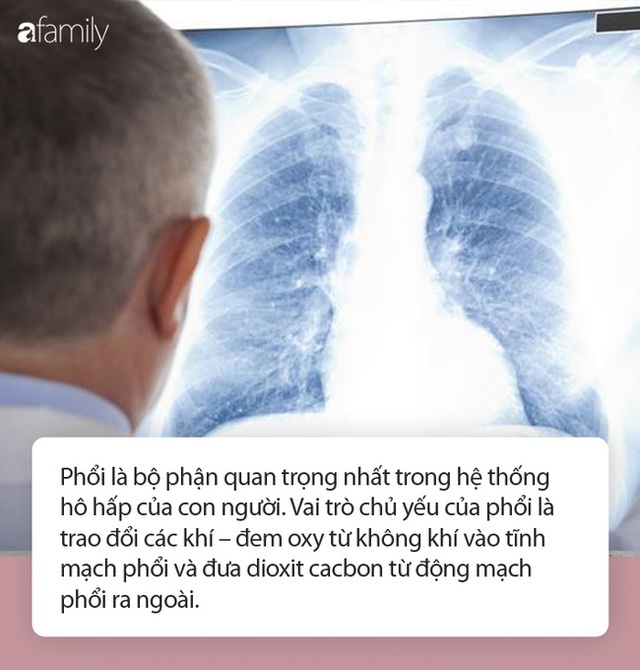 4 biểu hiện trên cơ thể nhắc nhở phổi của bạn đang “kêu cứu” - Ảnh 1.