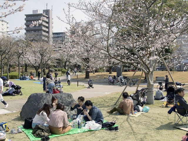 Bất chấp cảnh báo về dịch Covid-19, nhiều người ở Nhật vẫn đổ xô đi ngắm hoa anh đào và xem sự kiện tại nhà thi đấu mà không đeo khẩu trang - Ảnh 4.
