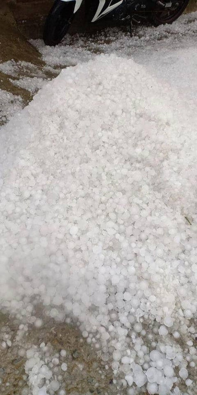 Mưa đá rơi trắng trời, trắng đất ở Lai Châu - Ảnh 14.