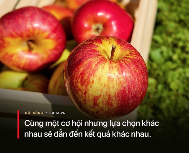  Từ chuyện quả táo, có thể nhận biết một người sẽ giàu hay nghèo: Ai cũng nên biết để thay đổi vận mệnh của chính mình - Ảnh 2.