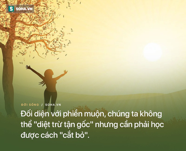 Lên chùa tìm cách rũ bỏ phiền muộn, không ngờ lại phải đi cắt tỉa cây triền miên, đến khi phát cáu, người đàn ông mới ngộ ra việc cần làm - Ảnh 2.