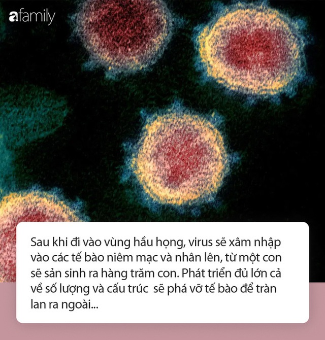 Chuyên gia chỉ ra 7 điều cần biết để tuyệt đối tránh lây nhiễm virus trong “thời gian vàng” chống dịch Covid-19 - Ảnh 1.