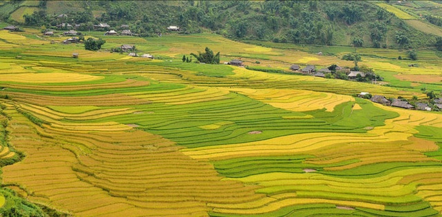 Yên Bái vùng đất giàu tiềm năng bị ngủ quên đang được loạt đại gia BĐS đánh thức - Ảnh 1.