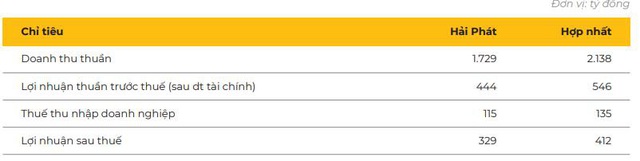Hải Phát (HPX): Năm 2020 dự kiến doanh thu giảm mạnh nhưng lãi sẽ chỉ giảm 9% - Ảnh 4.
