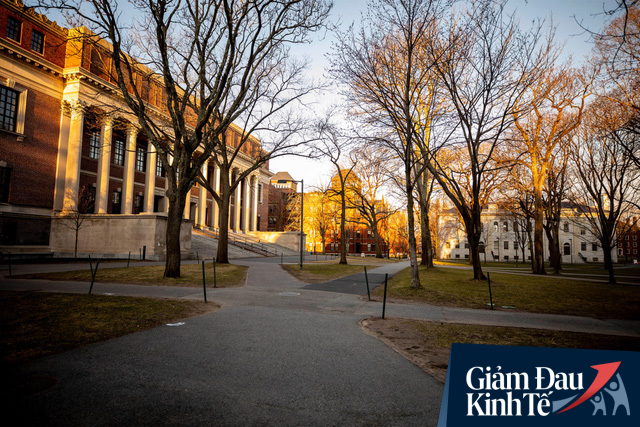 Mỹ: Từ Ivy League cho đến các trường đại học công cùng chung một nỗi lo - sinh viên sẽ không quay trở lại sau khi đại dịch kết thúc - Ảnh 2.