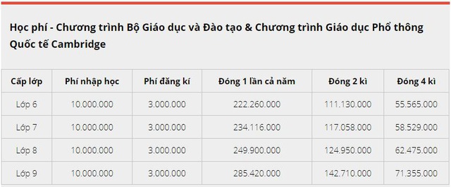 Đau đầu chuyện thu học phí online trường tư mùa dịch: Trường thu đủ không thiếu một xu, nơi hào phóng miễn phí không lấy đồng nào - Ảnh 2.