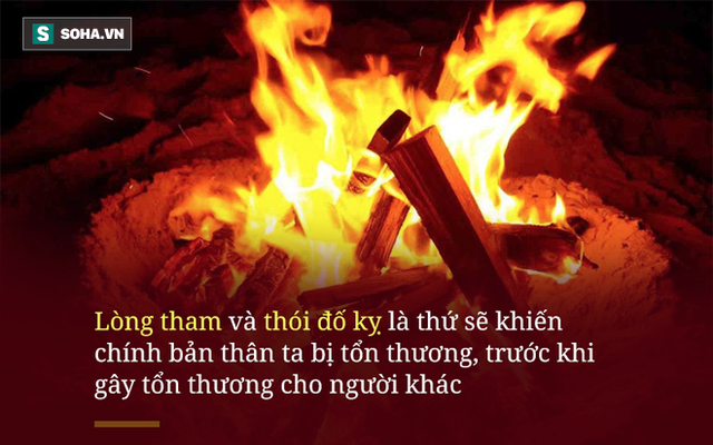 Bò theo cách ngược đời, đuôi đi trước đầu theo sau, con rắn gặp kết cục đủ đau để cảnh tỉnh nhiều người - Ảnh 2.