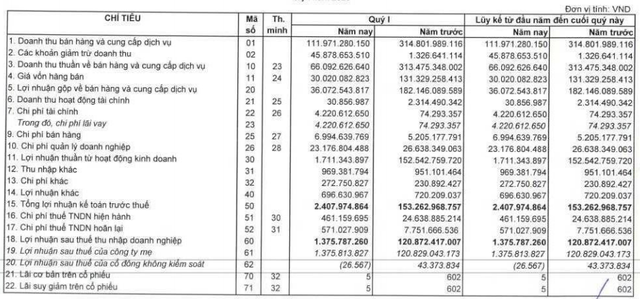 LDG báo lãi quý 1/2020 chỉ hơn 1 tỷ đồng - Ảnh 1.