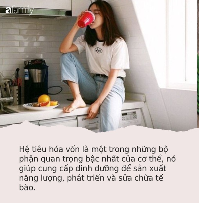 Trong mùa dịch Covid-19, các gia đình hãy bổ sung 10 thực phẩm này vào bữa cơm để bảo vệ hệ tiêu hóa, giảm thiểu nguy cơ mắc bệnh - Ảnh 1.