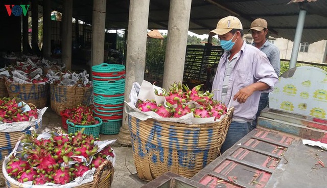 Hỗ trợ doanh nghiệp và người dân vượt qua đại dịch - Ảnh 2.