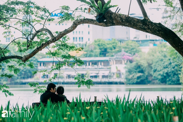 Hồ Hoàn Kiếm ngày cuối tuần bình yên, cuộc sống chậm lại khiến cho nhiều người chợt nhận ra nơi đây có nhiều thứ đẹp mà ngày thường chẳng hề hay biết - Ảnh 19.