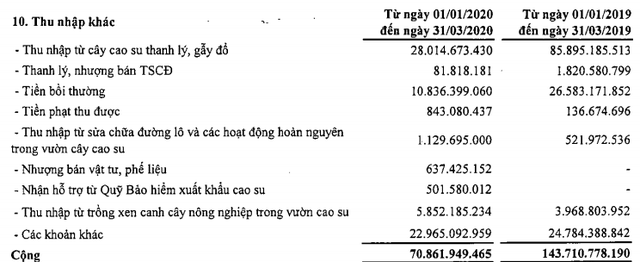 Tập đoàn cao su (GVR) báo lãi 336 tỷ đồng trong quý 1, tăng 7% so với cùng kỳ - Ảnh 2.