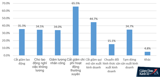 Ngủ đông, giảm lương, chuyển đổi mô hình... , đâu là giải pháp được nhiều doanh nghiệp Việt lựa chọn nhất giữa đại dịch Covid-19? - Ảnh 1.