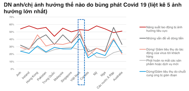 Ứng phó thế nào khi doanh nghiệp mất cân đối dòng tiền, hết tài sản đảm bảo để vay gói hỗ trợ? - Ảnh 1.