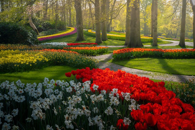 Vườn hoa đẹp nhất thế giới đóng cửa sau 71 năm, nhiếp ảnh gia tò mò muốn vào bên trong thì choáng ngợp với cảnh tượng trước mắt - Ảnh 22.