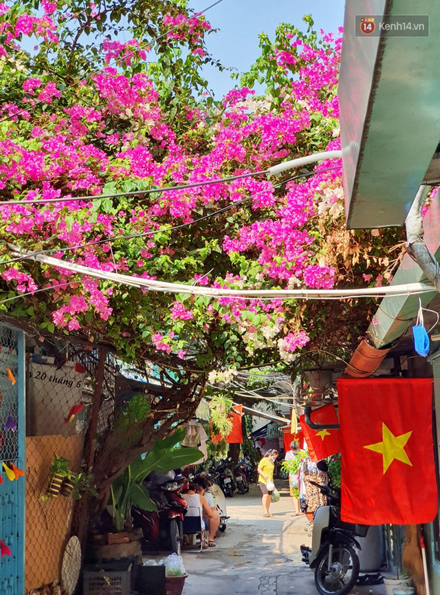 Ảnh: Ngắm một Sài Gòn yên bình trong sáng 30/4, mọi tuyến đường, góc phố phấp phới cờ hoa - Ảnh 12.