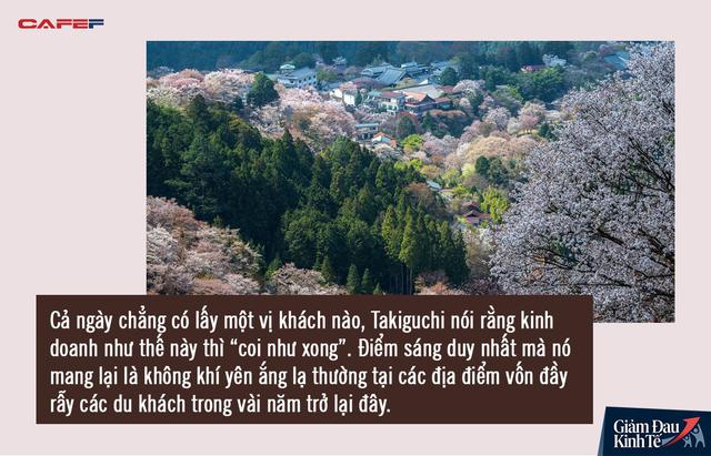 Mùa hoa anh đào buồn vì vắng khách du lịch tại Nhật Bản: Người kinh doanh méo mặt, cư dân thích thú trước sự bình yên hiếm có - Ảnh 4.
