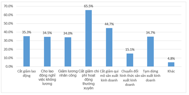 Nếu dịch Covid-19 kéo dài hết tháng 6, chỉ còn 15% DN duy trì hoạt động - Ảnh 2.