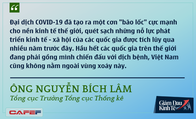 Các chuyên gia kinh tế nói gì về kinh tế Việt Nam thời dịch Covid-19? - Ảnh 3.