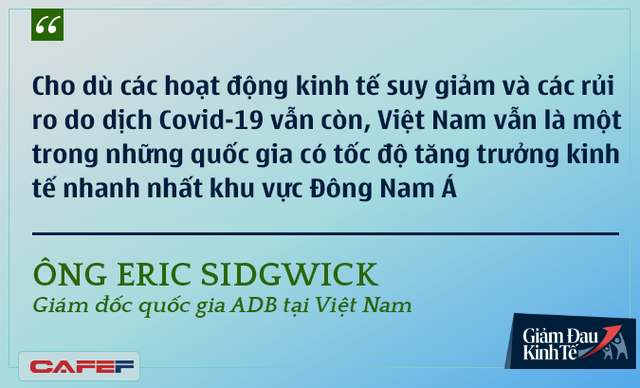 Các chuyên gia kinh tế nói gì về kinh tế Việt Nam thời dịch Covid-19? - Ảnh 7.