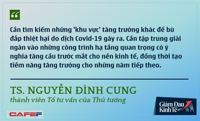 Các chuyên gia kinh tế nói gì về kinh tế Việt Nam thời dịch Covid-19? - Ảnh 9.