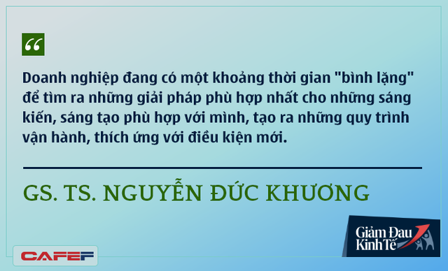 Các chuyên gia kinh tế nói gì về kinh tế Việt Nam thời dịch Covid-19? - Ảnh 10.