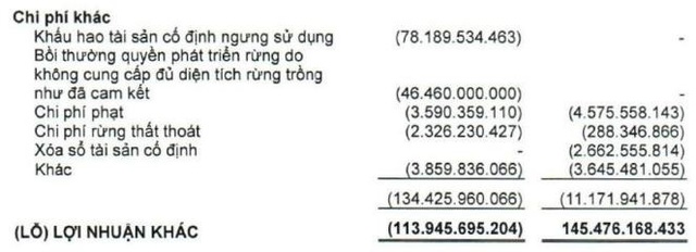 Hậu kiểm toán, lợi nhuận 2019 của HDG, VGT và TTF chênh lệch hàng chục tỷ đồng - Ảnh 2.