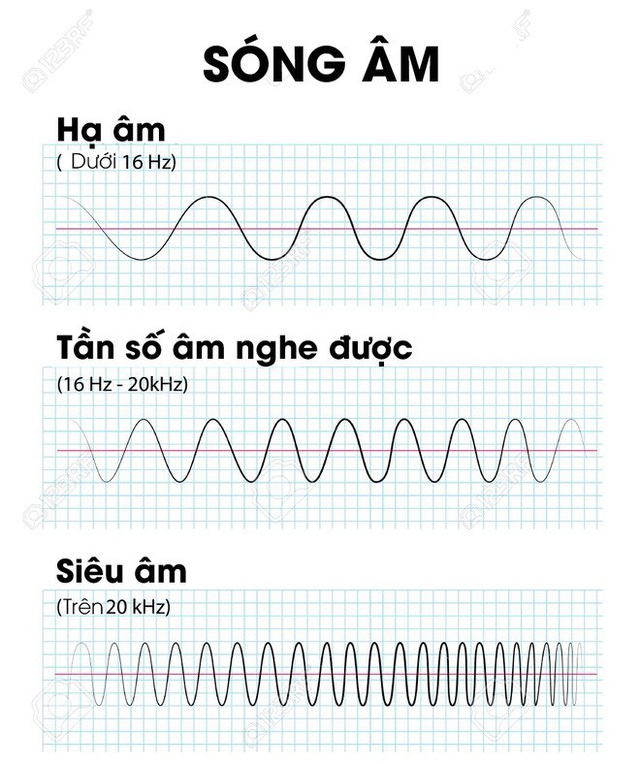 Kỹ thuật siêu âm mới có thể tiêu diệt tế bào ung thư dựa trên hiệu ứng sóng dừng - Ảnh 1.